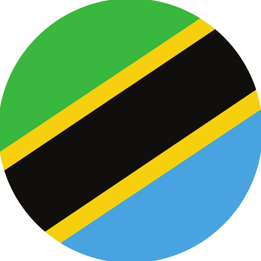 Tanzanian flag car import export